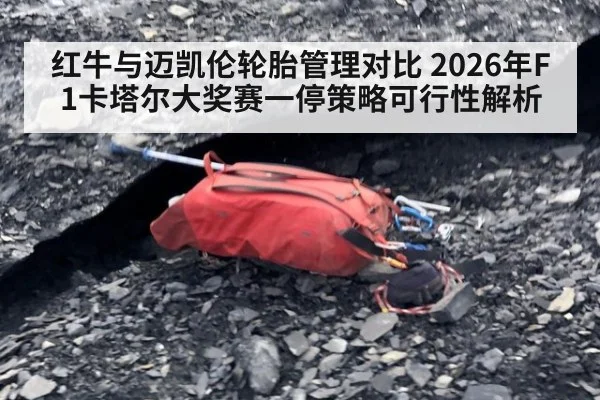 红牛与迈凯伦轮胎管理对比 2026年F1卡塔尔大奖赛一停策略可行性解析